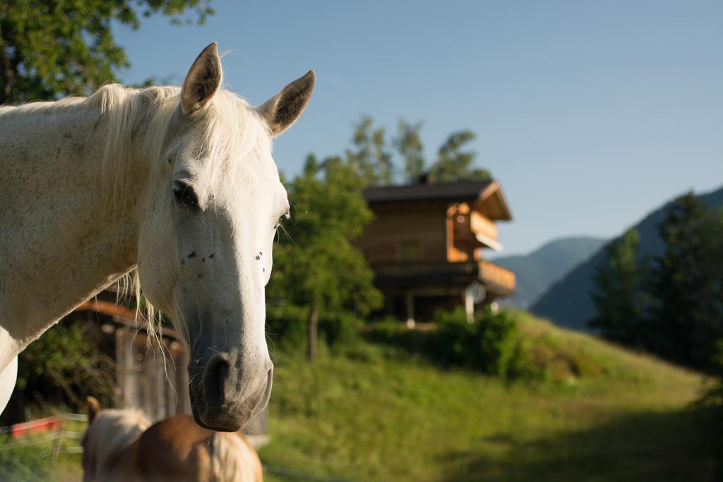 Ferienhaus Oetztal Hotel Заутенс Екстериор снимка