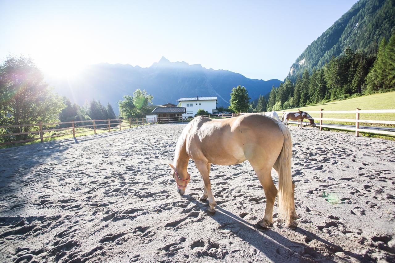 Ferienhaus Oetztal Hotel Заутенс Екстериор снимка